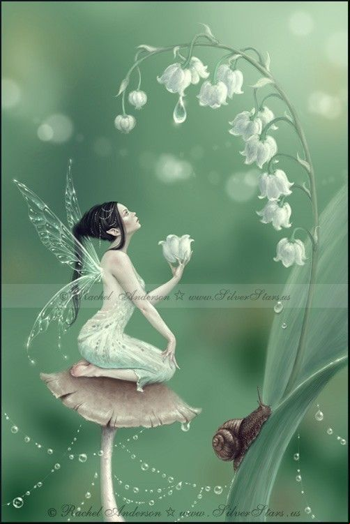 title lily of the valley lily of the valley is part of flower fairy